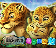 Big 5 baby 5
